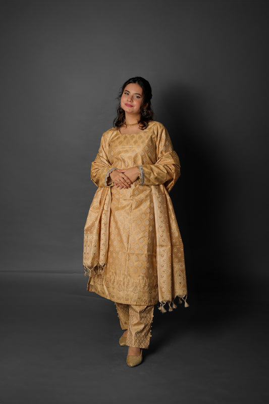 Embrace Timeless Royalty with Our Exquisite Gold Banarasi 3-Piece Suit - Gold  - DW19003